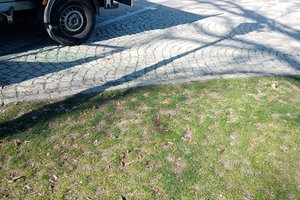 WhatsApp Image 2026-03-28 at 14.53.19