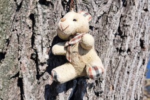 WhatsApp Image 2026-03-28 at 15.41.52_1