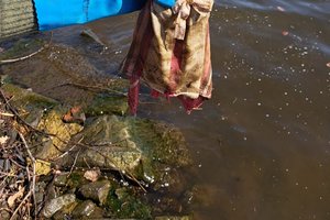 WhatsApp Image 2026-03-28 at 15.41.52_2